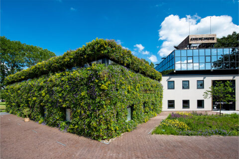 Living Walls as a future-proof facade solution